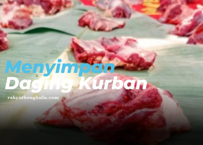7 Cara Menyimpan Daging Kurban Agar Tahan Lama dan Segar, Nomor 1 Jangan Keliru