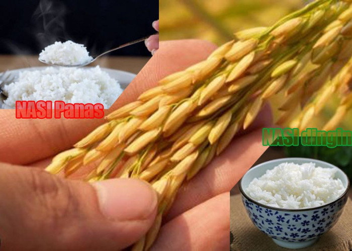 Makan Nasi dalam Keadaan Masih Panas, Apakah Berdampak Pada Gula Darah? Ini Dia Hasil Penelitian Terbaru