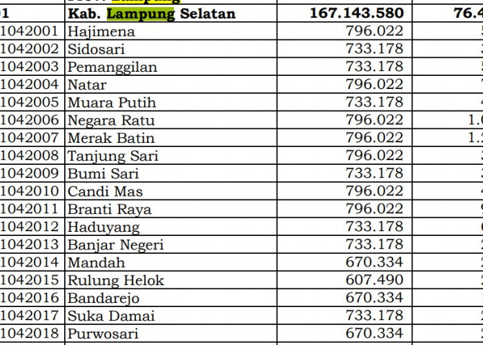 Berapa Rincian Dana Desa 2024 Lampung Selatan, Lampung? Cek Jawabannya di Sini
