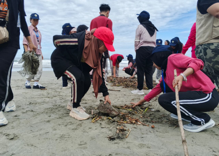 Mahasiswa FEB Unib dan Dispar Bengkulu Kompak Bersihkan Pantai Panjang, Bangun Semangat Kolaborasi Wisata