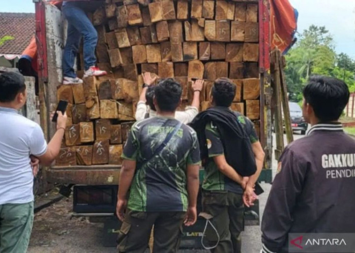  Hutan yang Menyusut, Bencana Mendekat
