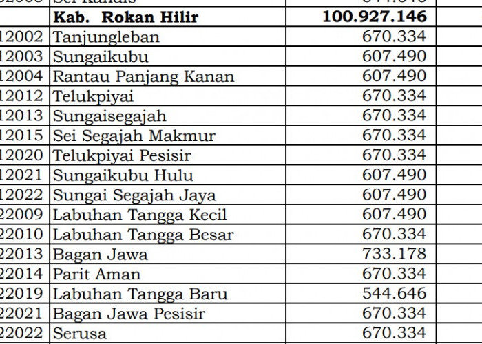 Simak Rincian Dana Desa 2024 Rokan Hilir, Riau: 38 Desa 1 Miliar