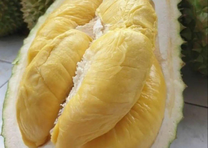 Wow! Ini Dia 7 Manfaat Buah Durian yang Ternyata Baik untuk Tumbuh Kembang Anak