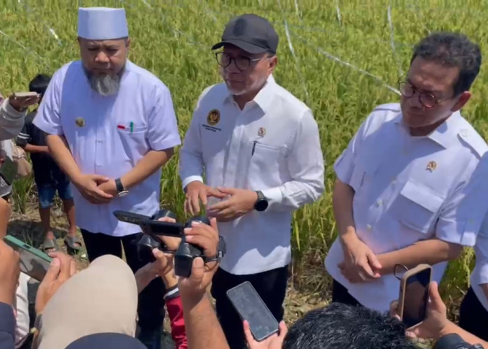 Zulhas Tegas di Bengkulu: Sawah Tak Boleh Beralih Fungsi, Irigasi Rusak Siap Dibenahi