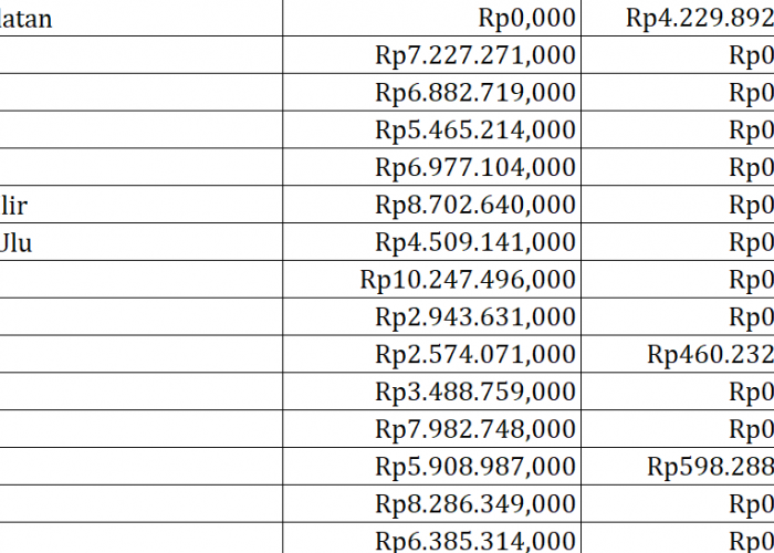 Bantuan Operasional Keluarga Berencana Sumatera Selatan Rp97,4 Miliar, Berikut Rincian per Daerah