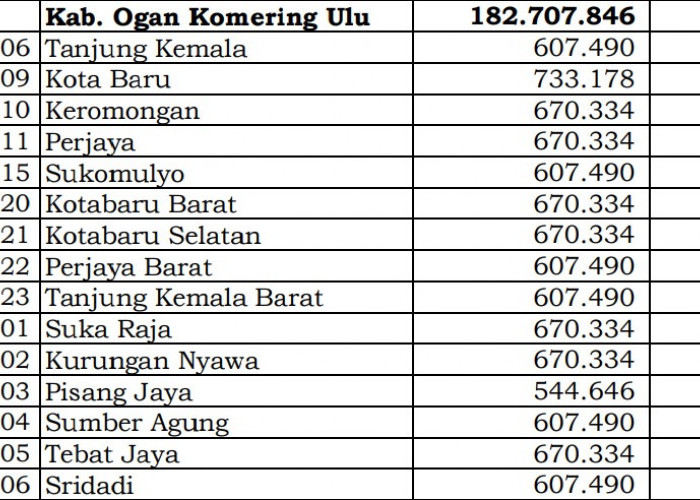 Fantastis! Pembagian Dana Desa 2024 OKU Timur, Sumatera Selatan: 58 Desa 1 Miliar