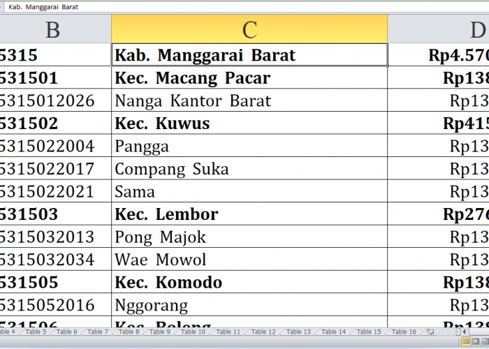 Desa di Kabupaten Manggarai Barat, Nagekeo dan Sumba Tengah Raih Dana Insentif Desa Tahun 2024