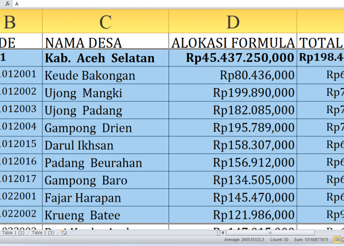 Rincian Lengkap Dana Desa 2025: Aceh Selatan Provinsi Aceh Dapat Jatah Rp198,4 Miliar! Untuk Desa A-L