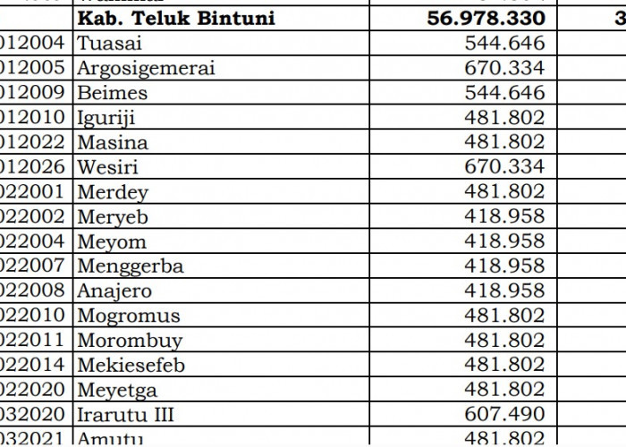 Dana Desa Tiap Desa 2024 di Teluk Bintuni, Papua Barat: 29 Desa 1 Miliar