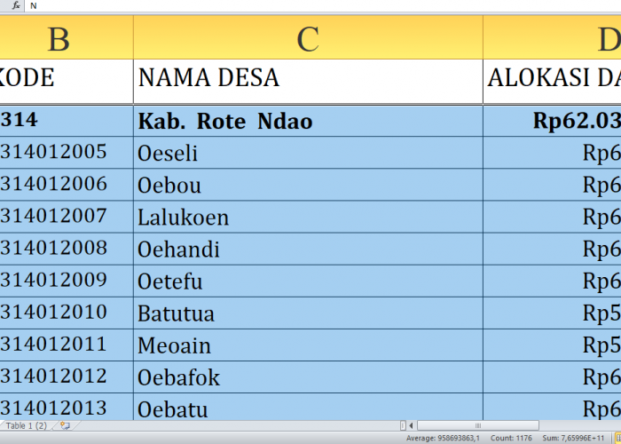 Detail per Desa, Rincian Dana Desa 2025 Rote Ndao Provinsi NTT Rp99,2 miliar: Siapa yang Terbesar?