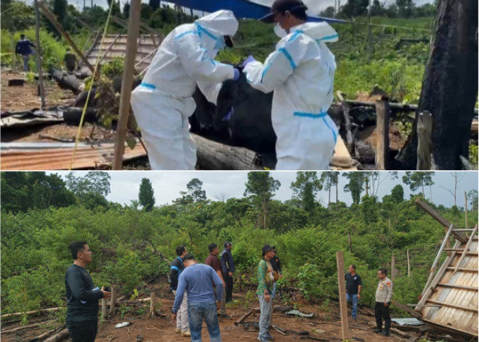 Kematian Induk dan Anak Gajah di Mukomuko: Tidak Ditemukan Tanda Kekerasan, Sampel Diuji Laboratorium