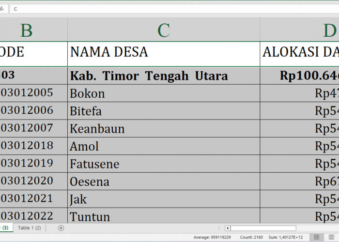 Detail per Desa, Rincian Dana Desa 2025 Timor Tengah Utara Provinsi NTT Rp156,3 miliar: Siapa yang Terbesar?