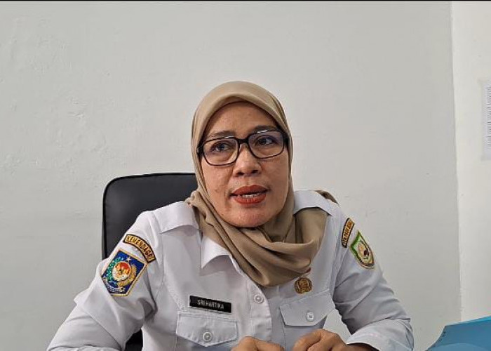 24 PPPK Paruh Waktu Pemprov Bengkulu Mundur, BKD Pastikan Pelayanan Publik Tetap Normal