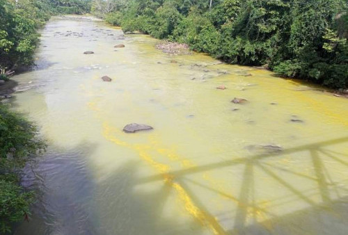 Sungai Tak Lagi Bening, sudah Berwarna Kuning, di Lubuk Banyau Bengkulu Utara