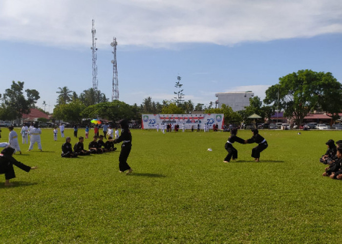 5 Teknik Dasar dalam Bela Diri Pencak Silat: Mengenal Gerakan Penting yang Harus Dikuasai