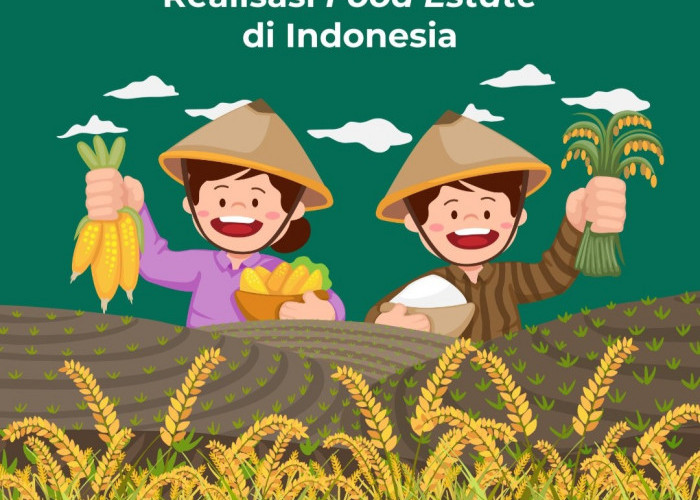 Pengembangan Food Estate Untuk Indonesia, Program Presiden Joko Widodo