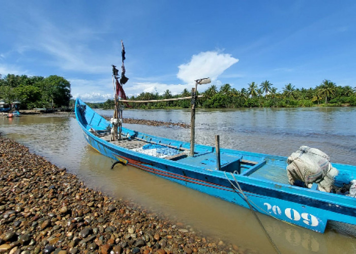 Pilihan Spot Memancing Ikan Lokal di Bengkulu Selatan: Temukan Lokasi Terbaik!