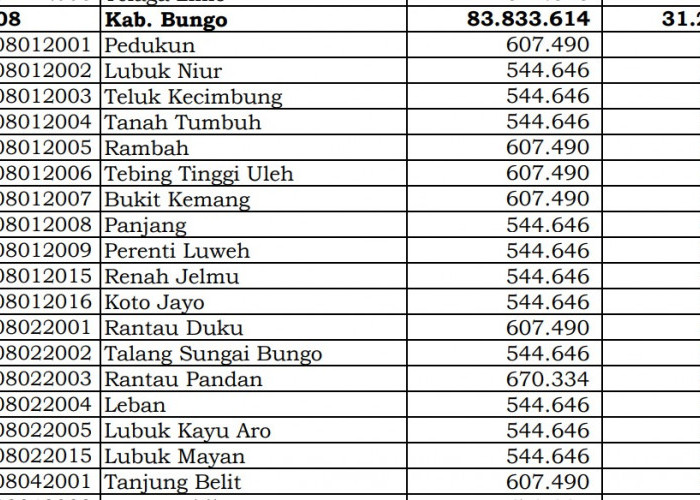 Simak Rincian Dana Desa 2024 Bungo, Jambi: 19 Desa 1 Miliar