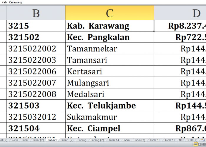 58 Desa di Kabupaten Karawang Jawa Barat Raih Dana Insentif Desa Tahun 2024, Simak Lengkapnya di Sini