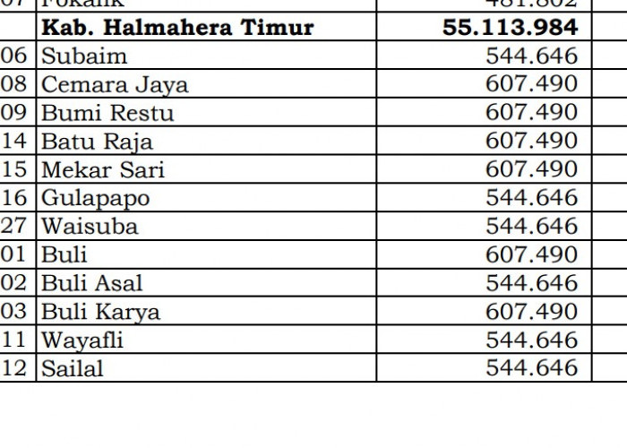 Dana Desa Tiap Desa 2024 di Halmahera Timur, Maluku Utara: 19 Desa 1 Miliar