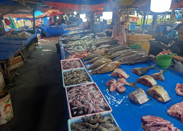 Cuaca Buruk Picu Kelangkaan Ikan di Bengkulu, Harga Melonjak