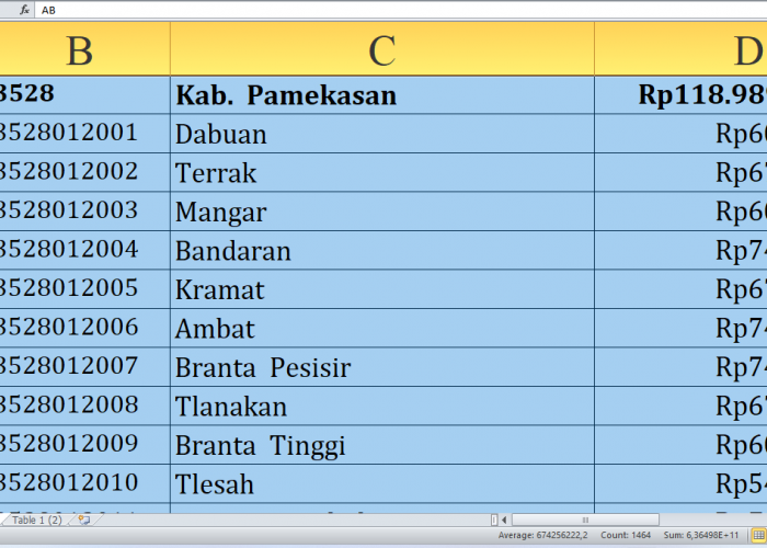 Rincian Dana Desa 2025 Pamekasan Provinsi Jawa Timur Rp191,9 miliar, Berikut Jumlah per Desa: Simak yang Terbe