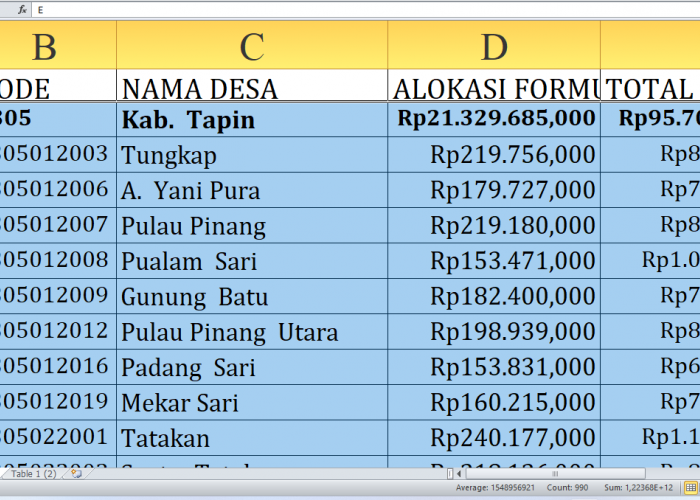 Wow! Anggaran Desa Tahun 2025 di Tapin Provinsi Kalimantan Selatan Capai Rp95,7 Miliar, Cek Desa Anda!