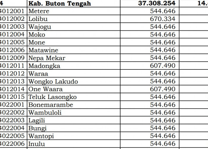 Dana Desa Tiap Desa 2024 di Buton Tengah, Sulawesi Tenggara: 6 Desa 1 Miliar