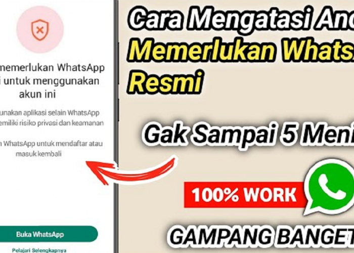 Cara Mengatasi Notifikasi 'Anda Memerlukan WhatsApp Resmi untuk Menggunakan Akun Ini' 100% berhasil!