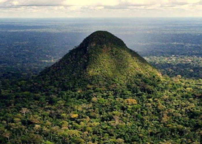 Cerro El Cono, Gunung Kecil yang Menonjol di Tengah-tengah Dataran Rendah Hutan Amazon