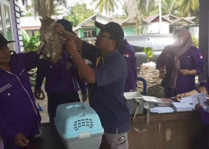 Waspada Serangan Hewan Penular Rabies, Mukomuko Siapkan 250 Vial Vaksin