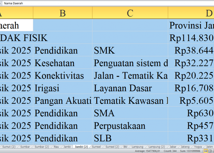 Rincian Pagu Dana DAK Fisik 2025 untuk Provinsi Jambi: Batang Hari, Bungo, Kerinci, dan Merangin