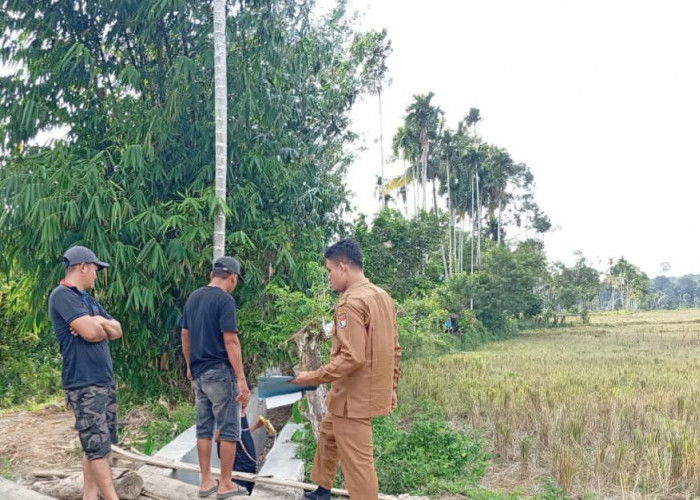 Oplah Non Rawa Mukomuko Rampung 100 Persen, 809 Hektare Lahan Kini Lebih Produktif