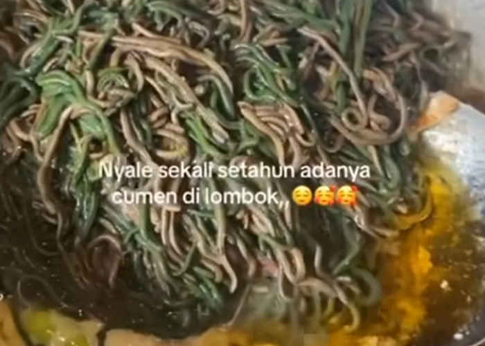 Ekstrim! Olahan Nyale, Masakan dari Cacing Laut Khas Daerah Lombok