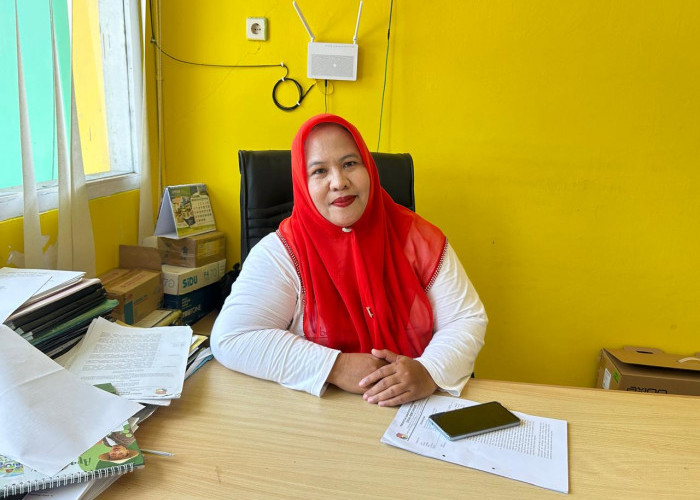 Dinas Peternakan Pastikan Wabah Ngorok Terkendali, 2.000 Kasus Berhasil Ditangani