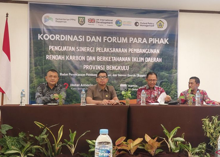 Pulau Enggano Siapkan Freezer Ikan 10 Ton dan Pabrik Tepung Pisang Bertenaga Surya