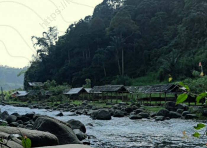 Dana Desa 2026 Rejang Lebong Rp36,7 Miliar, Air Apo Tertinggi Rp481 Juta  