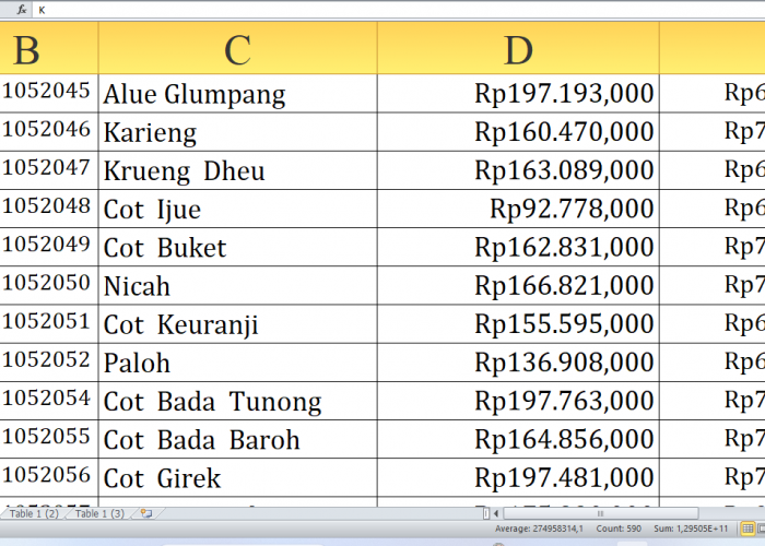 Lihat Desa G-M dengan Alokasi Tertinggi, Rp434,6 Miliar Dana Desa 2025 di Bireuen Provinsi Aceh