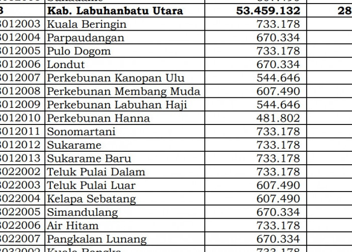 Simak Rincian Dana Desa 2024 Labuhanbatu Utara, Sumatera Utara: 46 Desa 1 Miliar