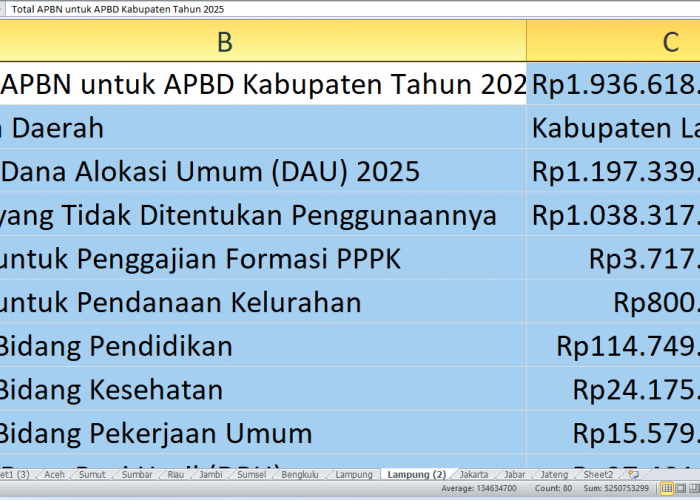 Rp1,93 Triliun dari APBN 2025 ke Lampung Selatan: Rincian Dana untuk Pembangunan dan Kesejahteraan Guru