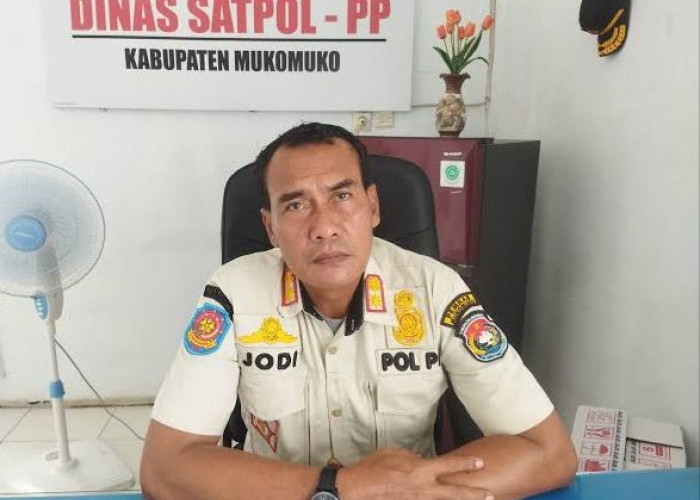 Satpol PP dan BKD Mukomuko Segera Awasi Kepatuhan Pembayaran Pajak Pelaku Usaha
