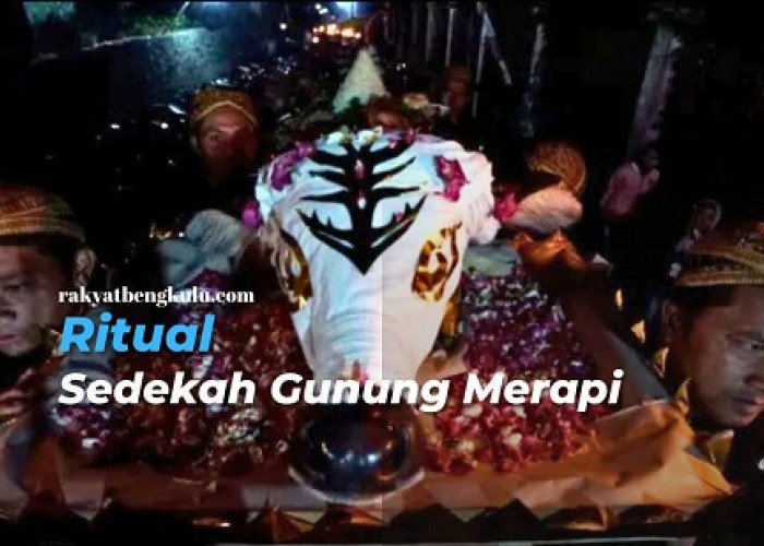 Tradisi Unik Tahun Baru Islam di Indonesia, Arak Kepala Kerbau dalam Ritual Sedekah Gunung Merapi