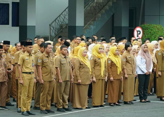 Menunggu Rekomendasi Kemendagri, Perampingan OPD Bengkulu Belum Bisa Dibahas DPRD