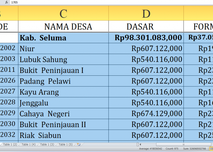 Dana Desa 2025 Seluma Capai Rp142,2 Miliar: Fokus Pemanfaatan untuk Pembangunan Desa Prioritas