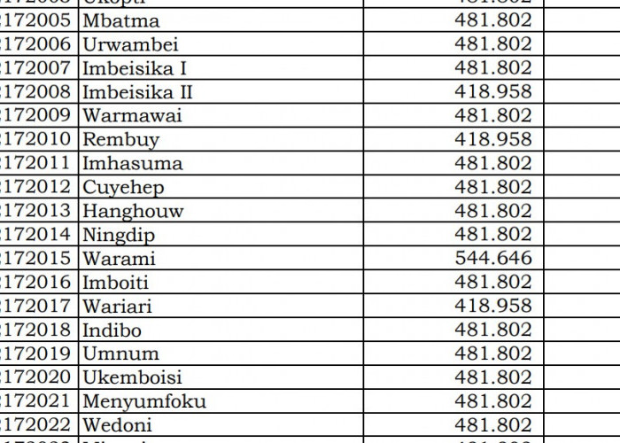 Dana Desa Tiap Desa 2024 Manokwari 2, Papua Barat: Ini Rinciannya