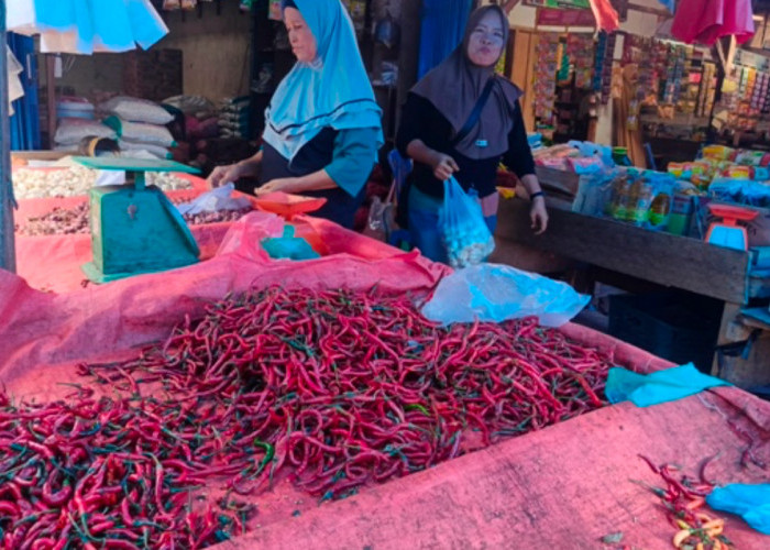 Harga Cabai Meroket Jelang Nataru, Pedagang dan Pembeli Kelimpungan