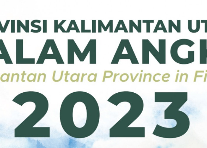 PPPK Tahun 2024! Papua Tengah 179 Miliar dan Kalimantan Utara 75 Miliar