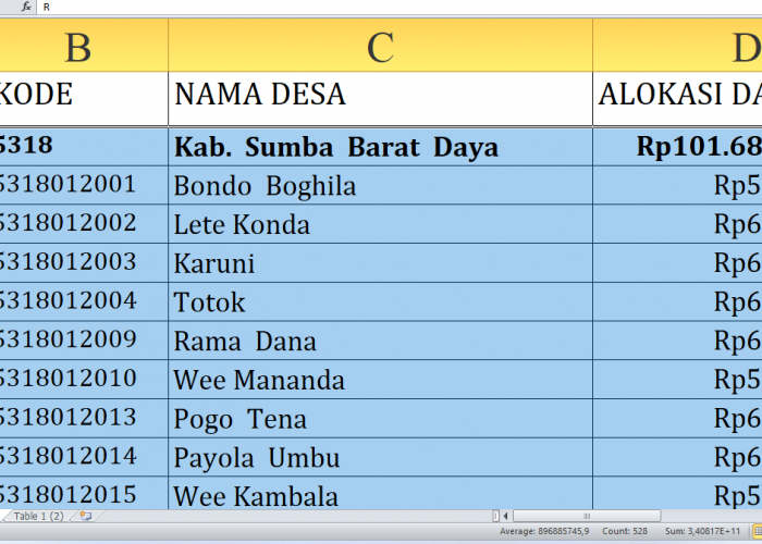 Rincian Dana Desa 2025 Sumba Barat Daya Provinsi NTT Rp171,9 miliar, Berikut Jumlah per Desa