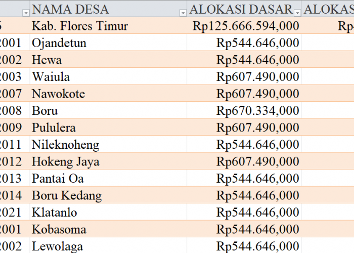 Tabel Rincian Dana Desa 2024 Kabupaten Flores Timur, NTT: Ini Lengkapnya