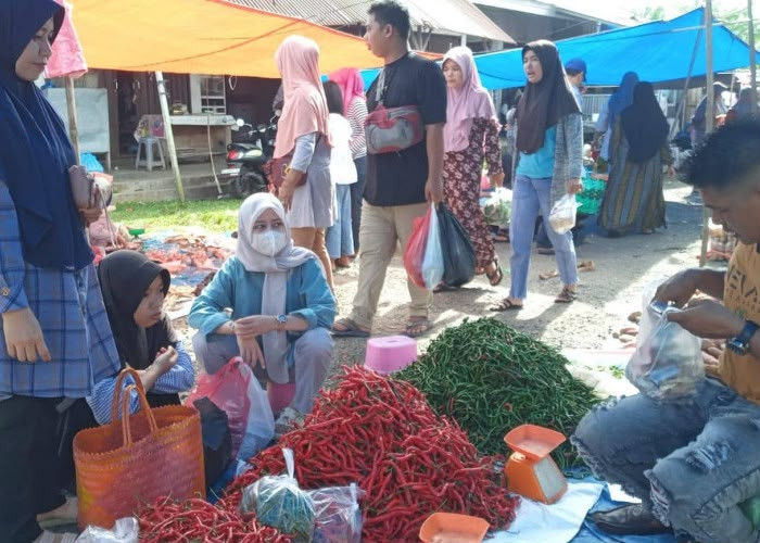 Harga Cabai Merah di Mukomuko Tembus Rp150 Ribu per Kg, Naik Hampir Dua Kali Lipat